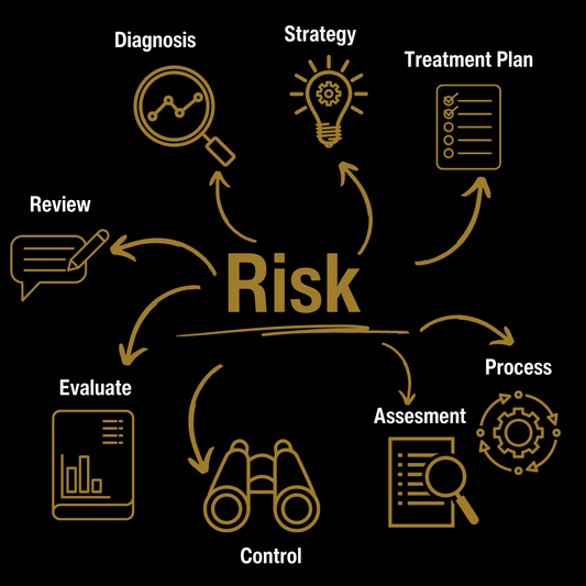 This diagram describes managing risk with an appropriate treatment plan, strategy, diagnosis, review, evaluation, control assessment and process